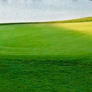 Premium Soils - Vancouver Soil Delivery