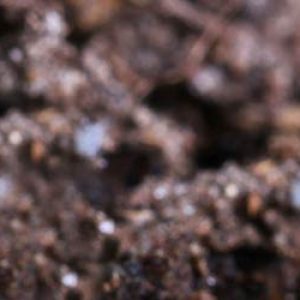 Premium Soils - Vancouver Soil Delivery