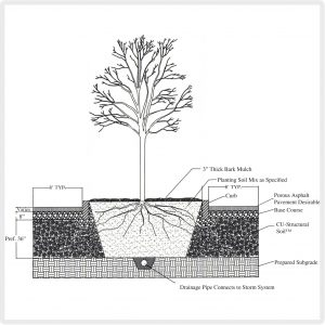 soil_diag-1