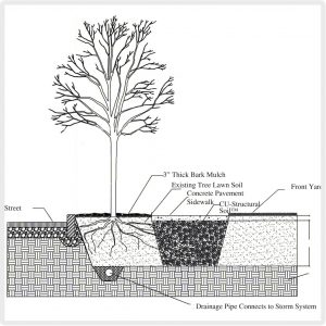 soil_diag-3