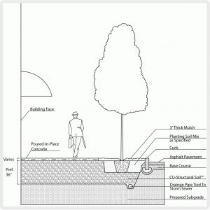 soil_diag-4