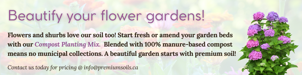 Beautify your gardens