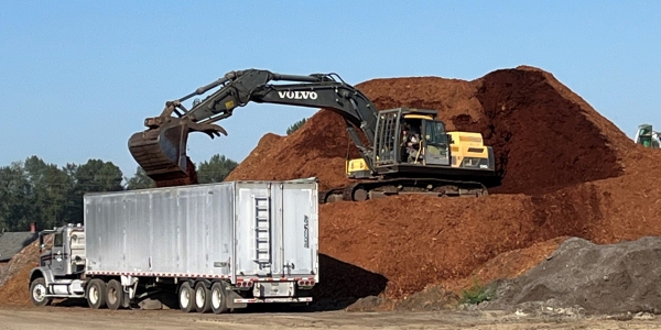 Cedar Mulch