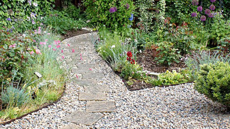 Garden with footpath